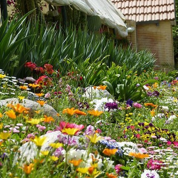 Fleuristes de Belgique unis contre le cancer